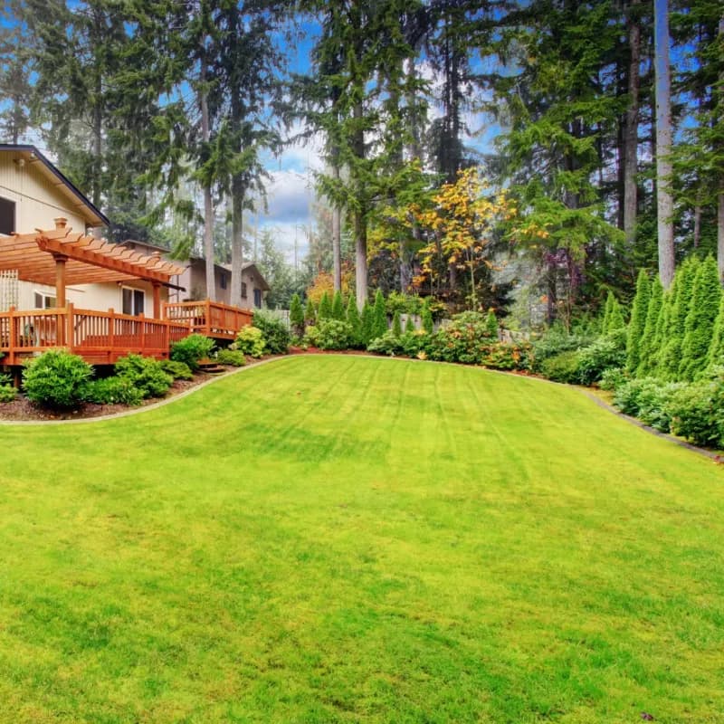Beautiful clean Alaskan backyard free of pet waste