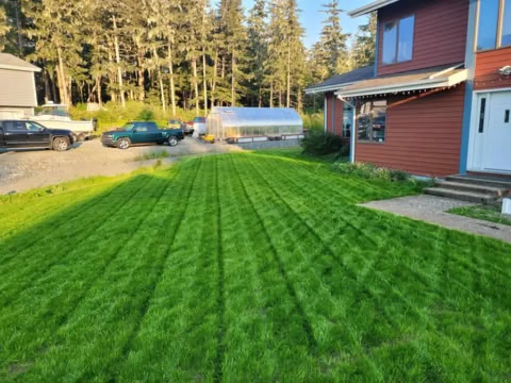 Happy dog playing in clean backyard