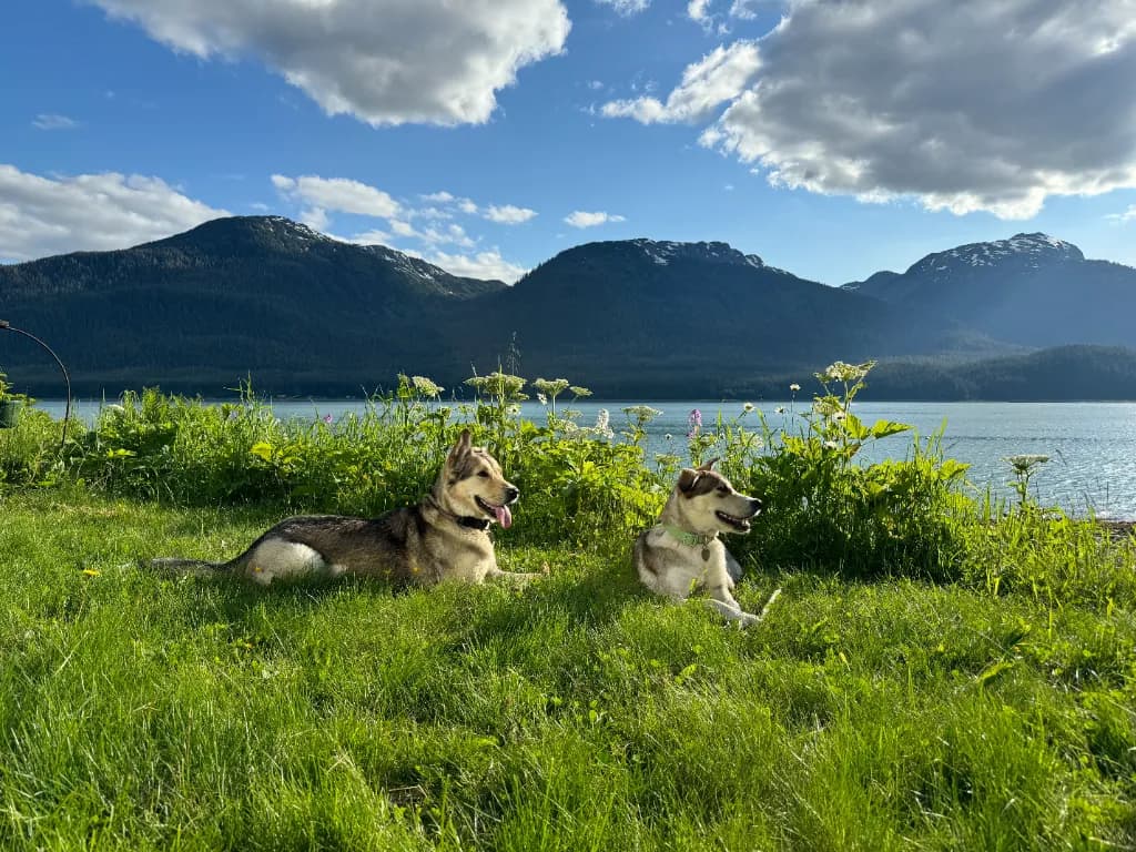 Clean backyard with mountains in background