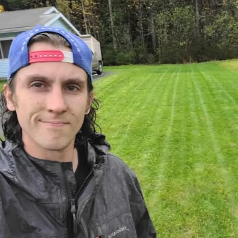 Before and after yard cleanup